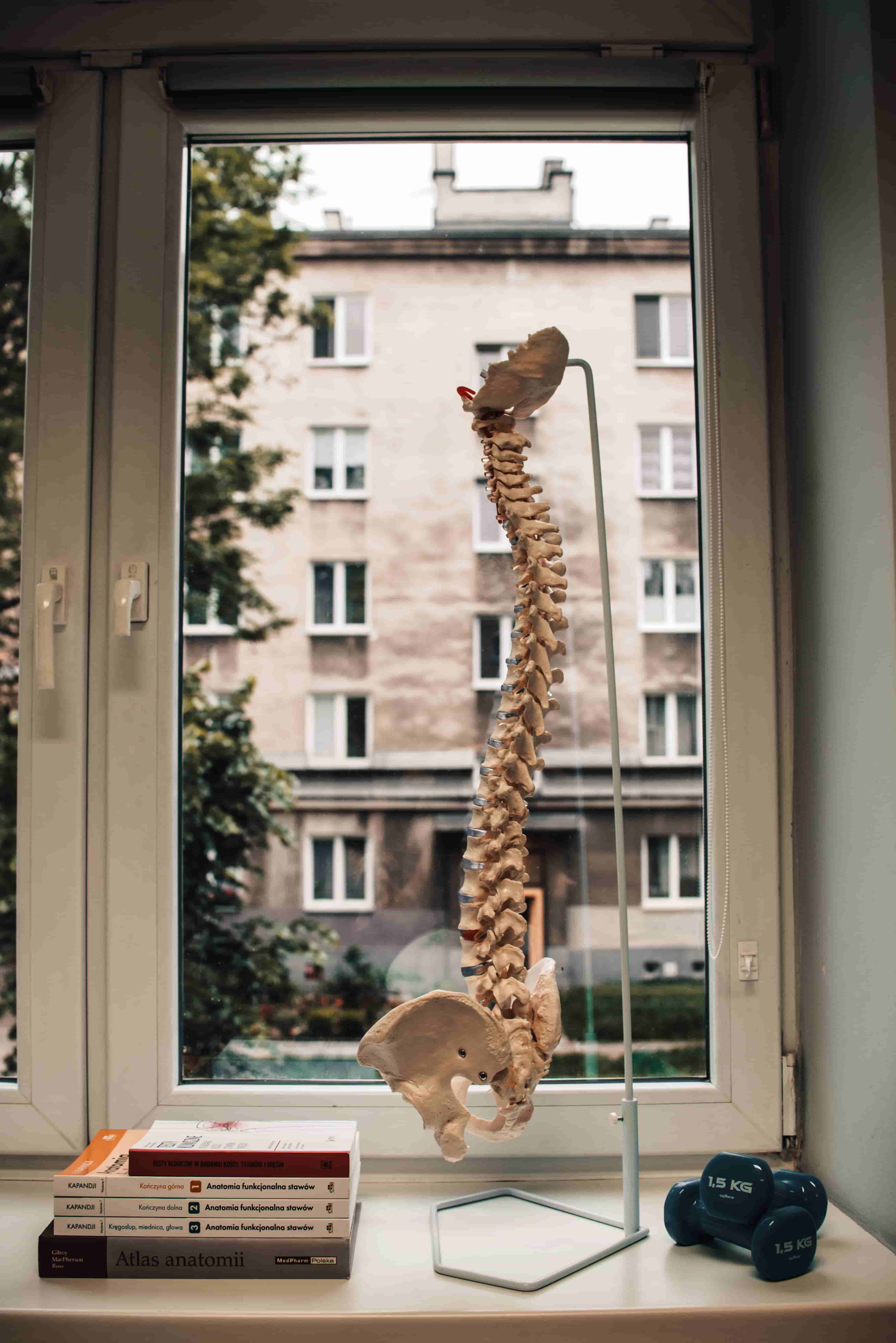 zdjecie rehabilitacja